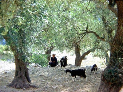 ALBÁNIE - a balkánská anabáze na picyklu cestou domů