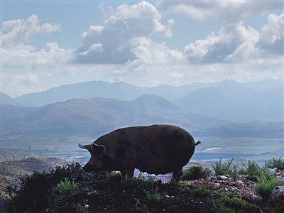 ALBÁNIE - a balkánská anabáze na picyklu cestou domů