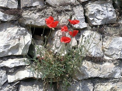 ALBÁNIE - a balkánská anabáze na picyklu cestou domů