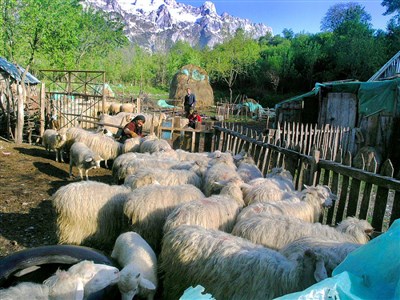 ALBÁNIE - a balkánská anabáze na picyklu cestou domů