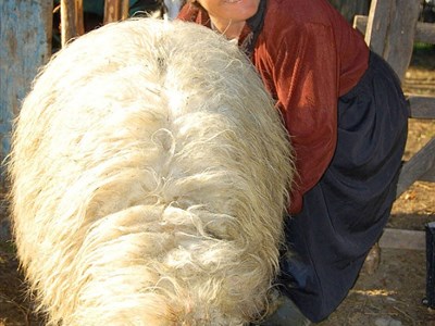 ALBÁNIE - a balkánská anabáze na picyklu cestou domů