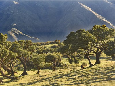 KORSIKA a MADEIRA - cestovatelské kontrasty
