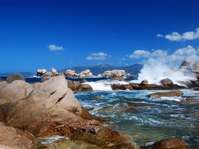 KORSIKA a MADEIRA - cestovatelské kontrasty