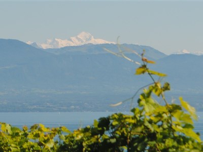 Z BRNA DO PORTUGALSKA - 3.600 km pěšky za sklenkou portského