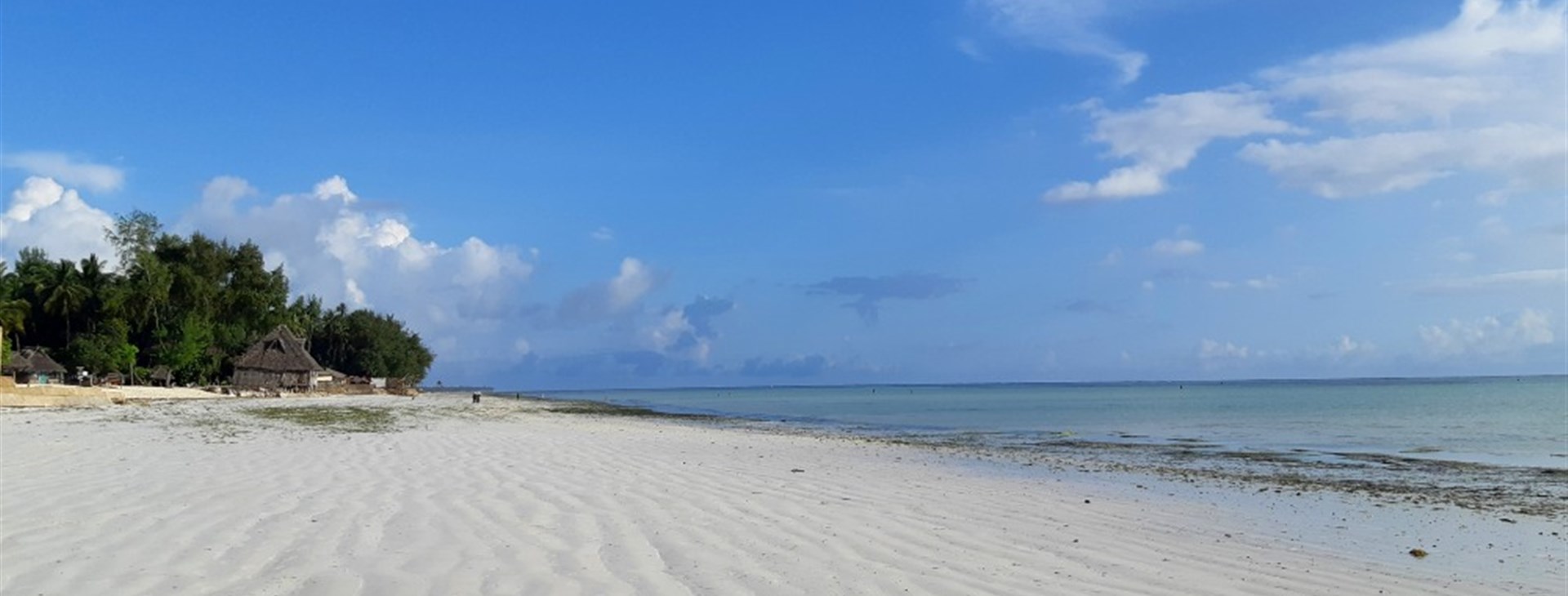 Tanzanie - Safari a Zanzibar