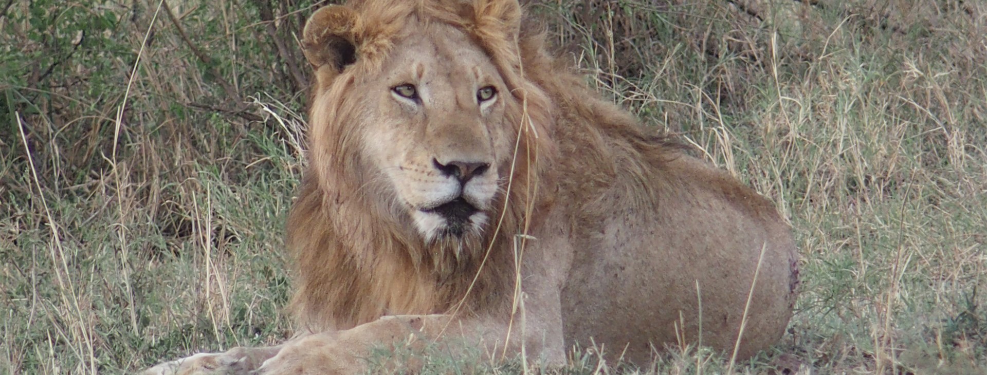 Tanzanie - Safari a Zanzibar