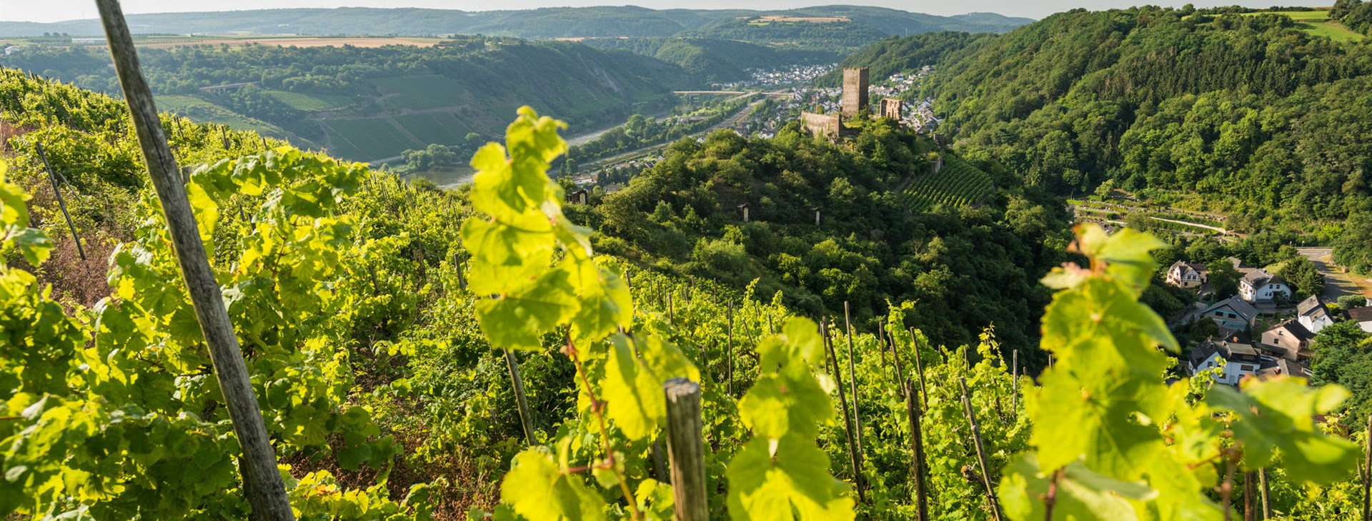 Autor: Picture Gallery of Mosellandtouristik
