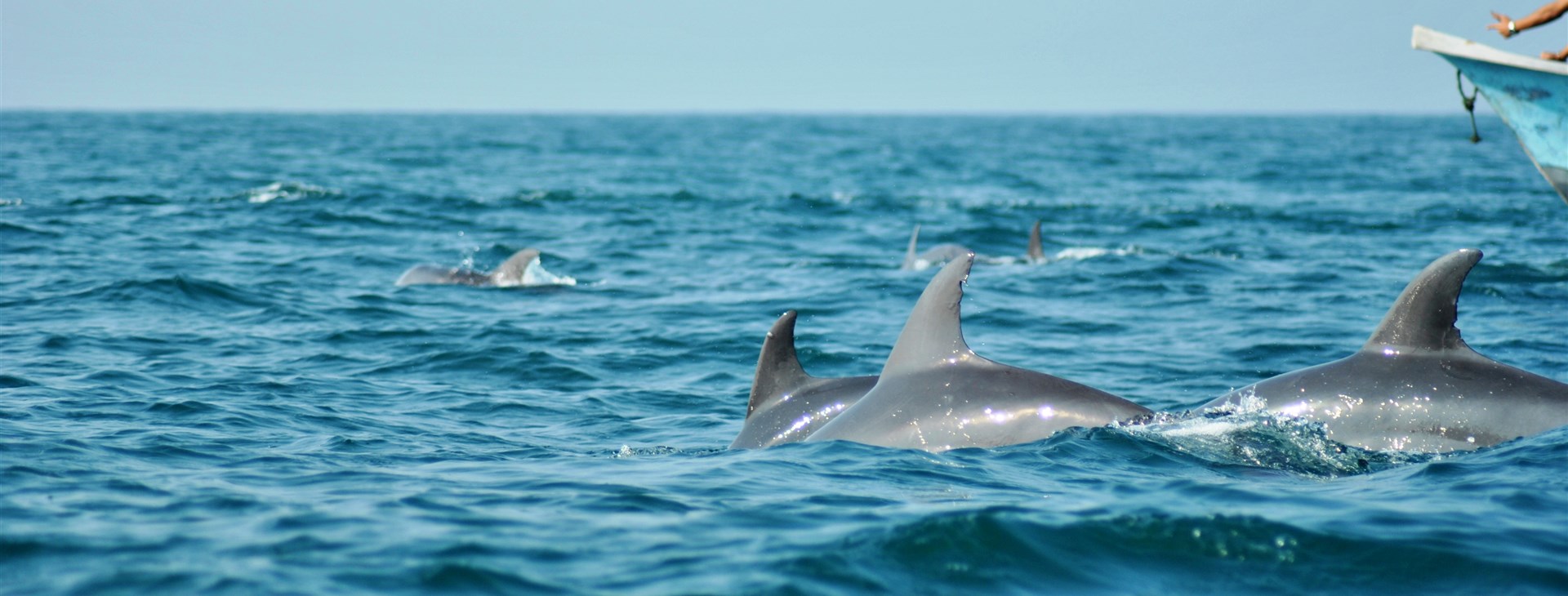 Írán s návštěvou nomádských kmenů