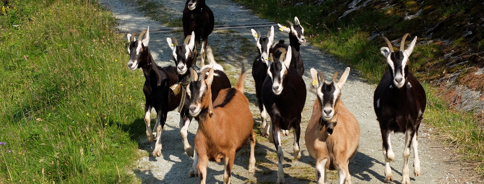 Švýcarský Engadin s dětmi