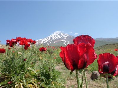 ÍRÁN - pohádkovou Persií od moře až k zálivu (NAŽIVO i ONLINE)