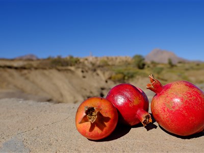 ÍRÁN - pohádkovou Persií od moře až k zálivu (NAŽIVO i ONLINE)