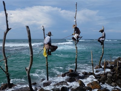 SRÍ LANKA - aneb cihly, sloni, čaj a oceán (NAŽIVO i ONLINE)