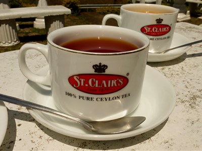 SRÍ LANKA - aneb cihly, sloni, čaj a oceán (NAŽIVO i ONLINE)