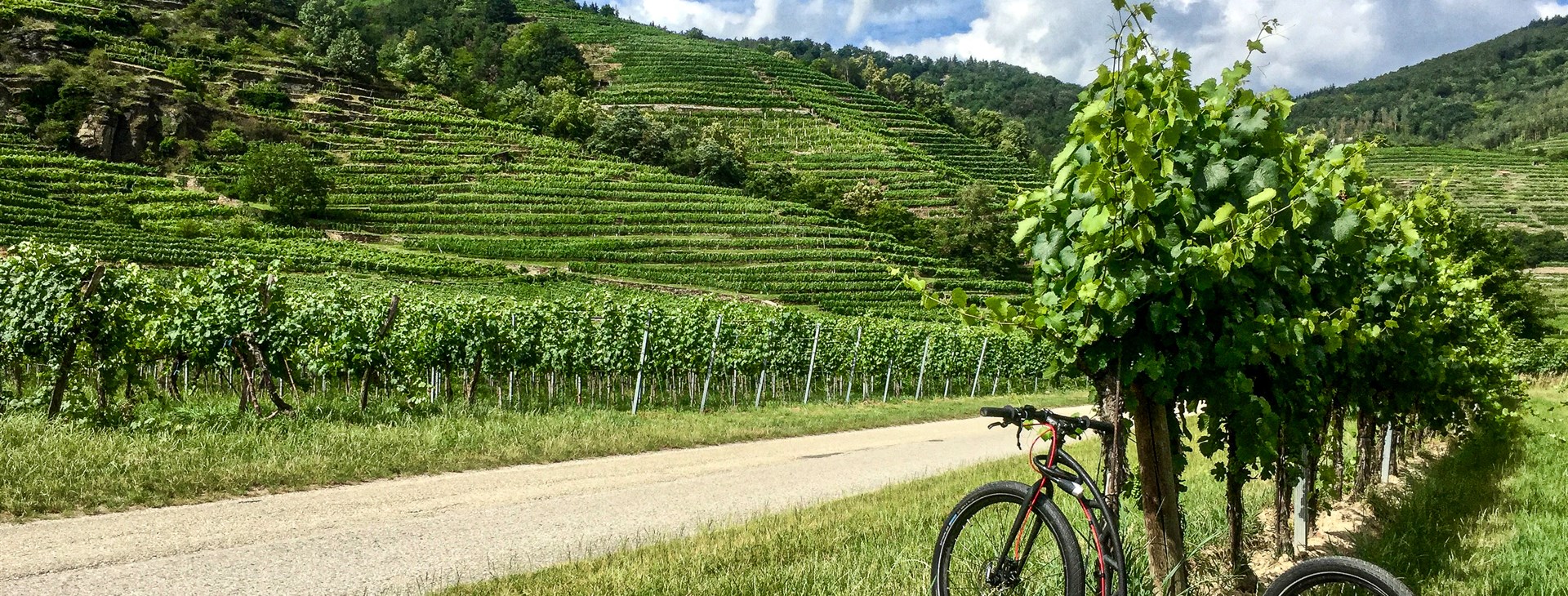 Dunajská cyklostezka - kemp