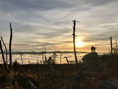 Stezka Českem- oficiální přechod ČR