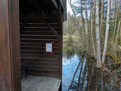 Stezka Českem- oficiální přechod ČR