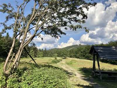 Stezka Českem- oficiální přechod ČR