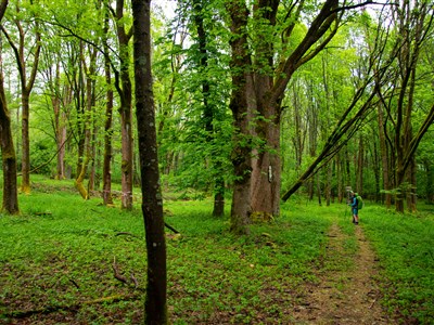 Stezka Českem- oficiální přechod ČR