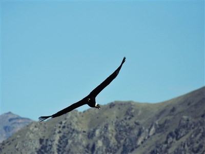 PERU - hory, pouště, pralesy, Inkové i lebky