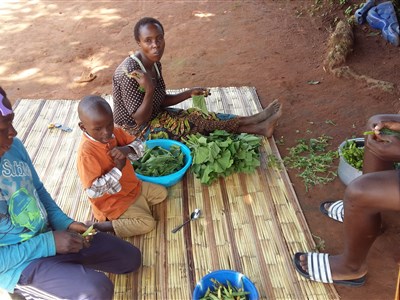 ZAMBIE – ráj na 10 hektarech