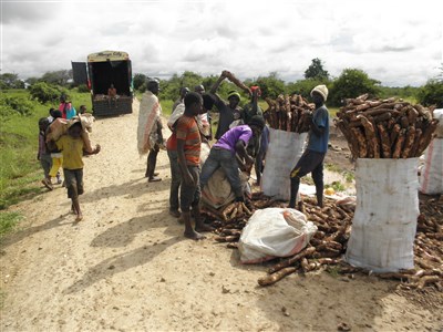 ZAMBIE – ráj na 10 hektarech