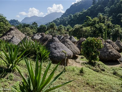Kolumbie a Panama - Pěšky džunglí do Ztraceného města
