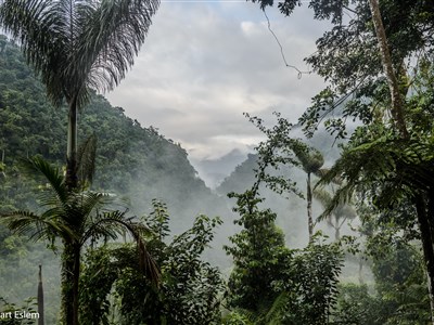 Kolumbie a Panama - Pěšky džunglí do Ztraceného města
