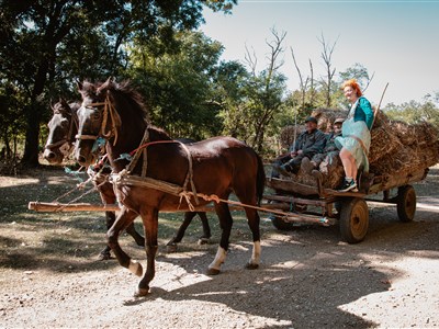 Cestovatelé jedou s cestovkou do Banátu