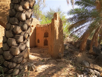 Omán – oázy i hory, na kole i v taxíku