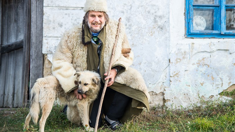 Rozmarné léto v Banátu se psy