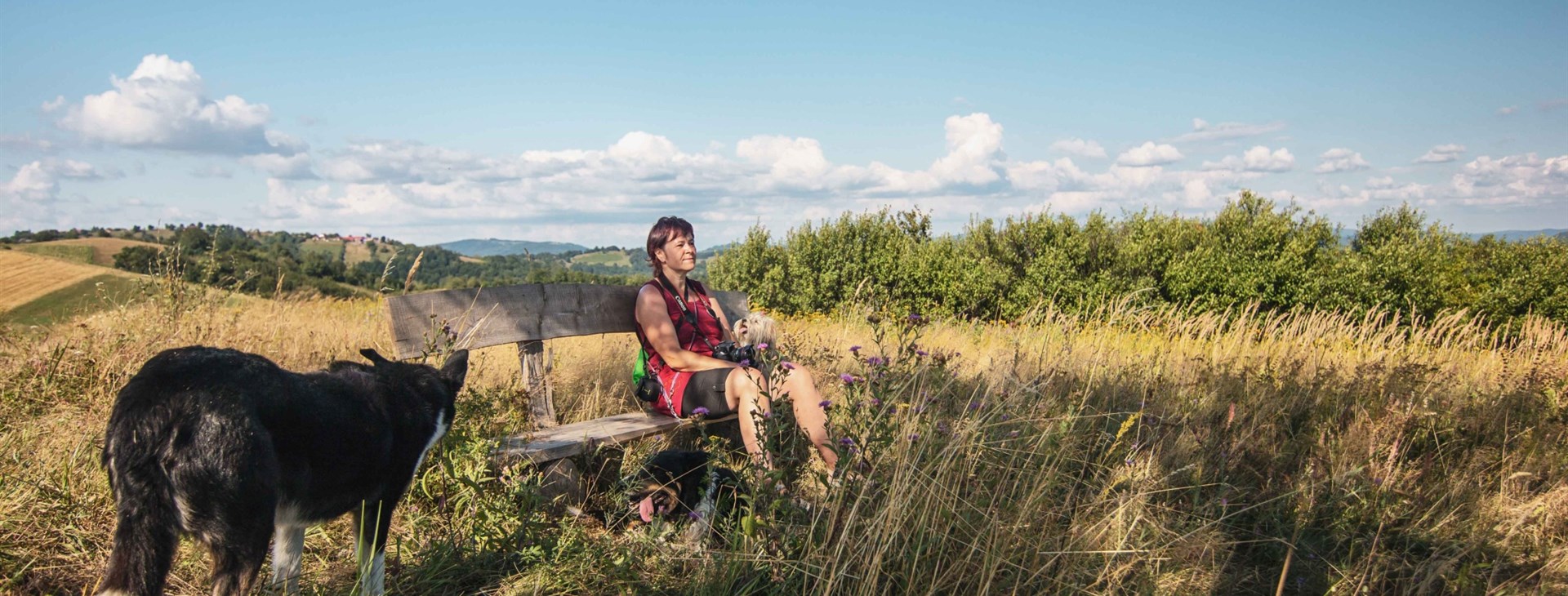 Rozmarné léto v Banátu se psy