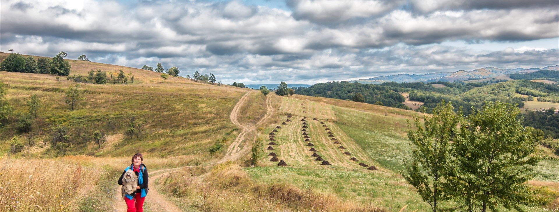 Rozmarné léto v Banátu se psy