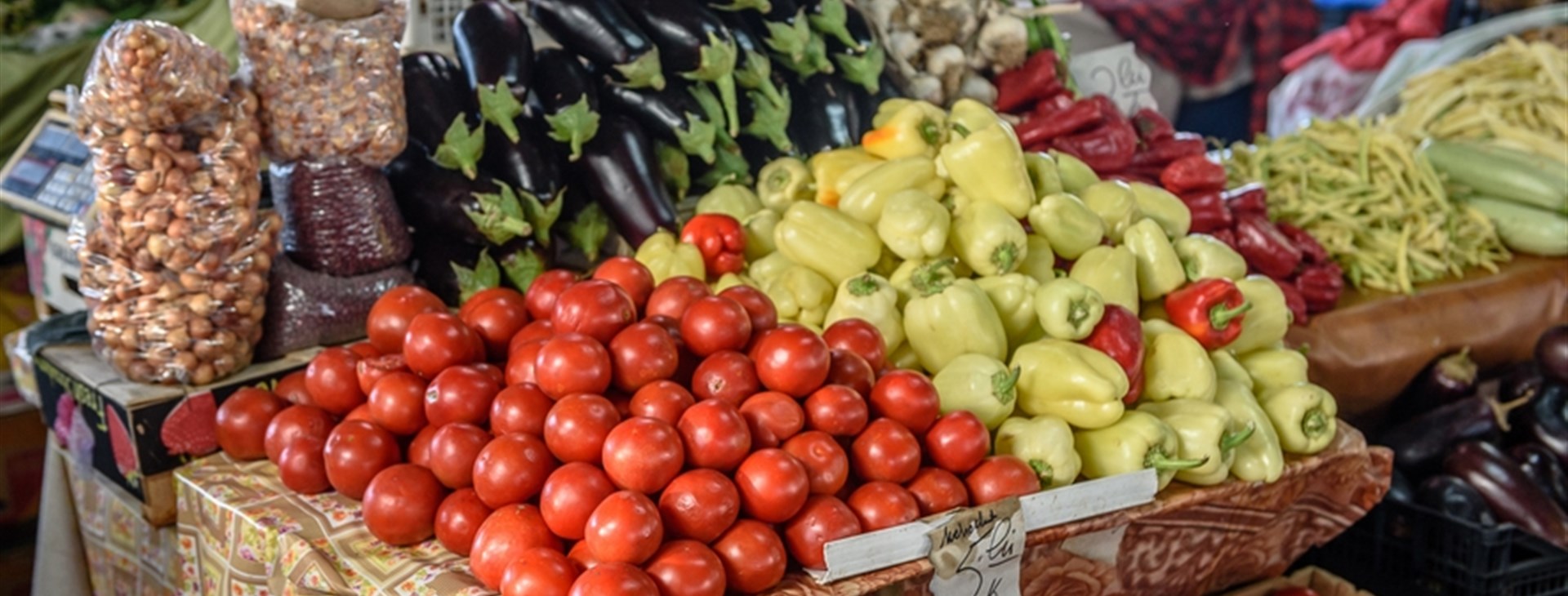 Rozmarné léto v Banátu se psy