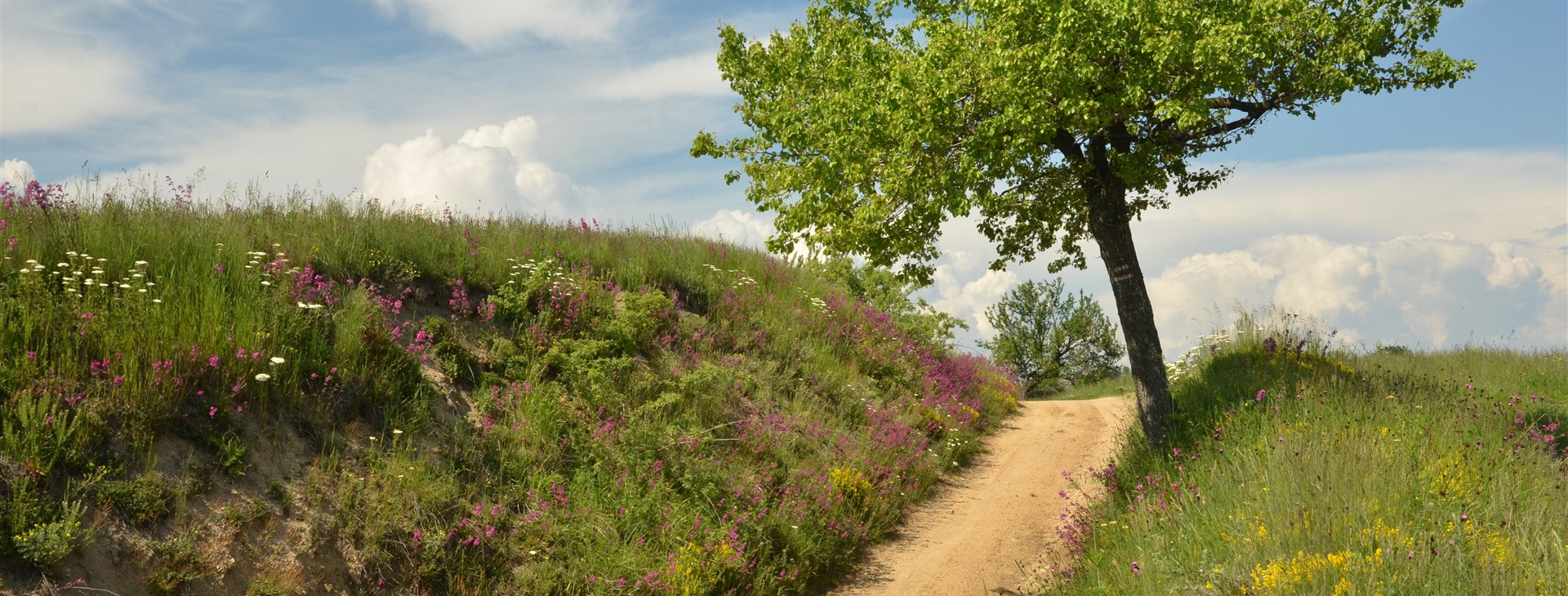 Foto: Ivo "Fík" Dokoupil