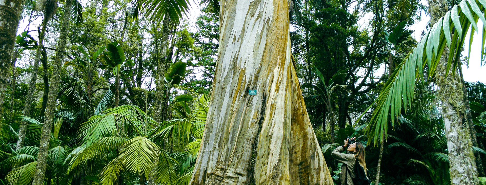 Azorské ostrovy: São Miguel