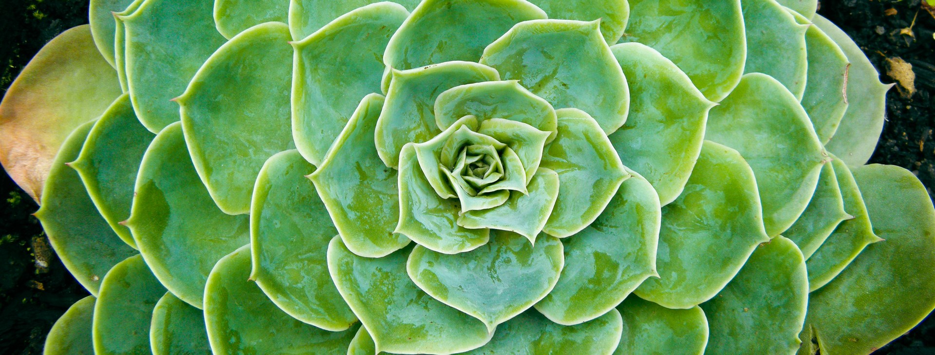 Portugalské perly Atlantiku