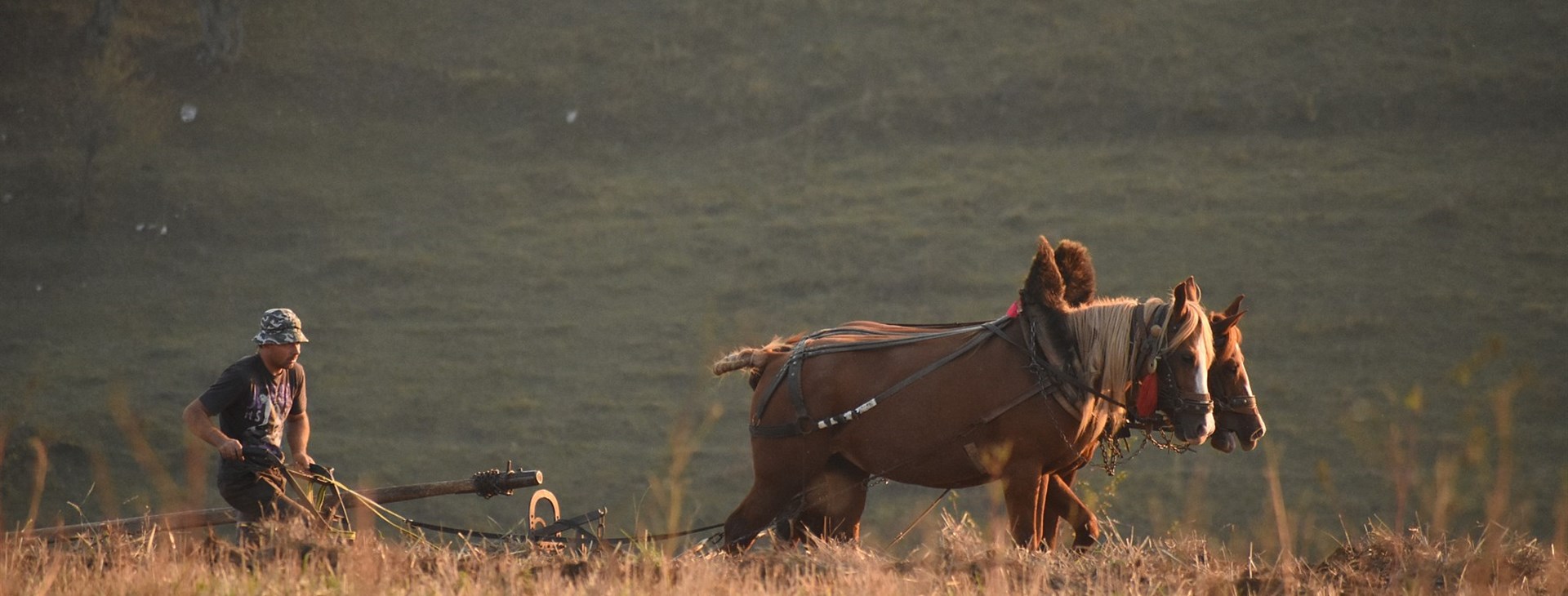 Banátské posvícení