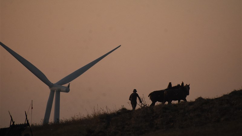 Banátské posvícení