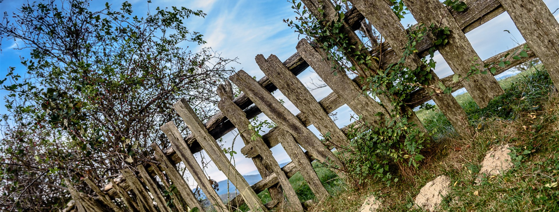 Banát - rozmarné léto a krajanské slavnosti