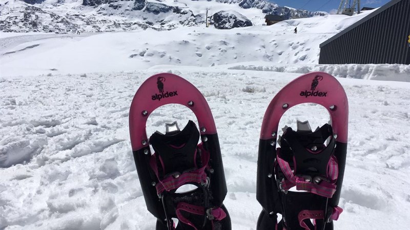 Sněžnice Krippenstein - Dachstein