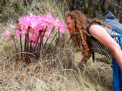 MADEIRA - Květináč v Atlantiku