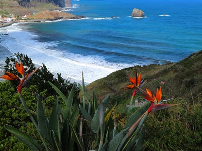 MADEIRA - Květináč v Atlantiku