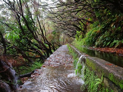 MADEIRA - Květináč v Atlantiku