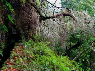 MADEIRA - Květináč v Atlantiku