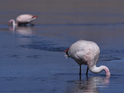 Bolívie - Tibet Jižní Ameriky