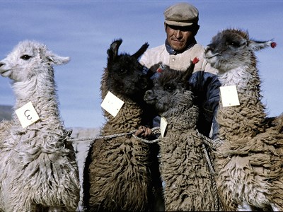 Bolívie - Tibet Jižní Ameriky