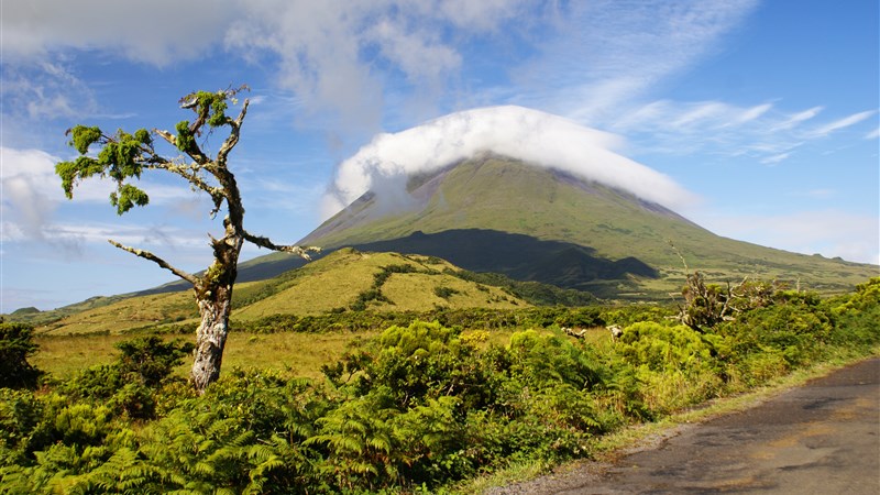 Azorské ostrovy: São Miguel, Faial, Pico