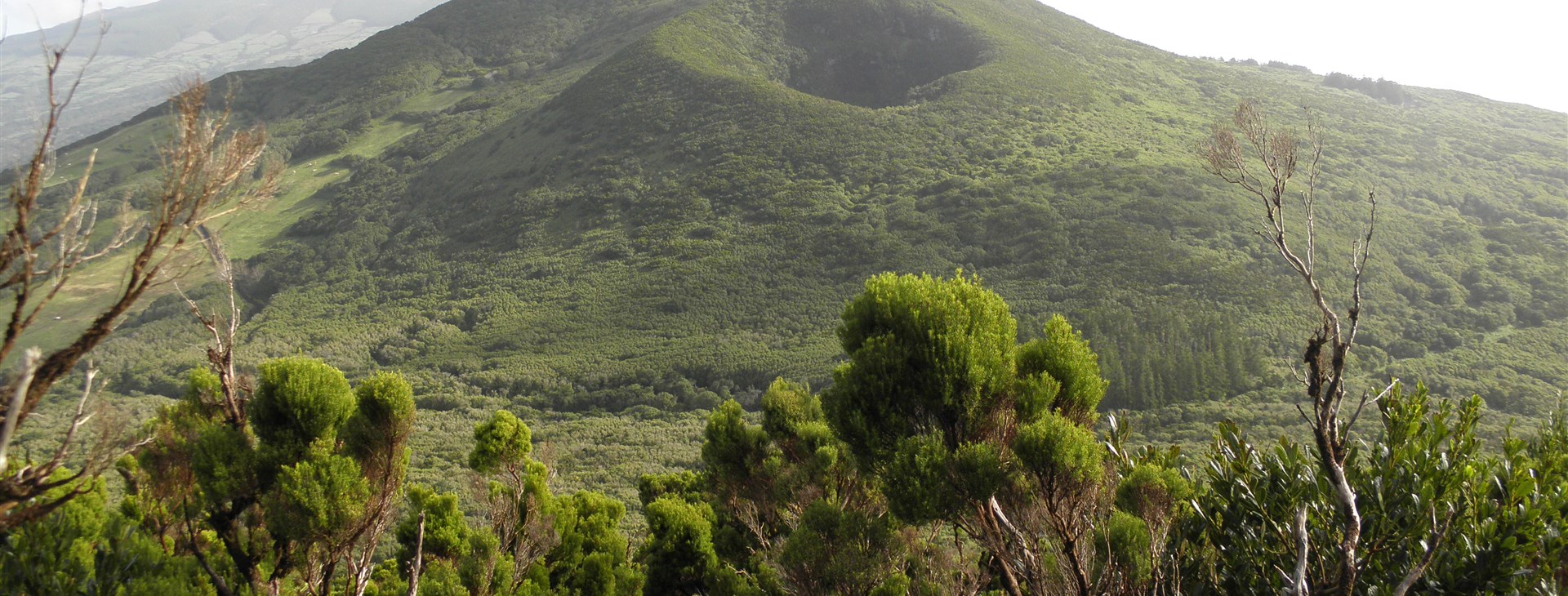 Azorské ostrovy: São Miguel, Faial, Pico
