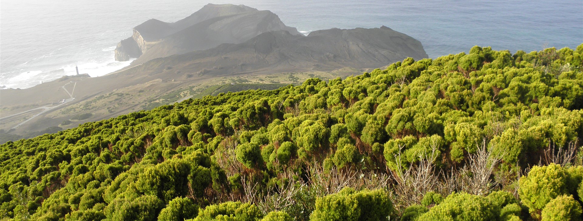 Azorské ostrovy: São Miguel, Faial, Pico