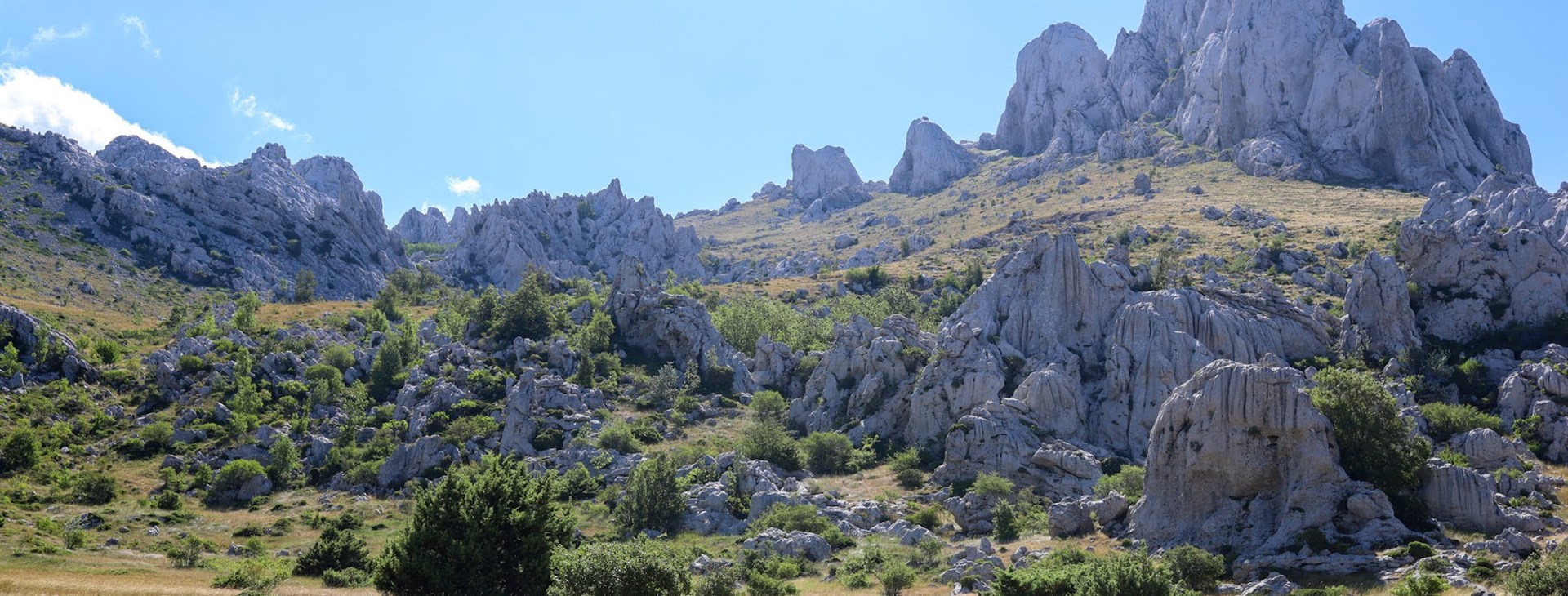 Autor: Veronika Jiříčková